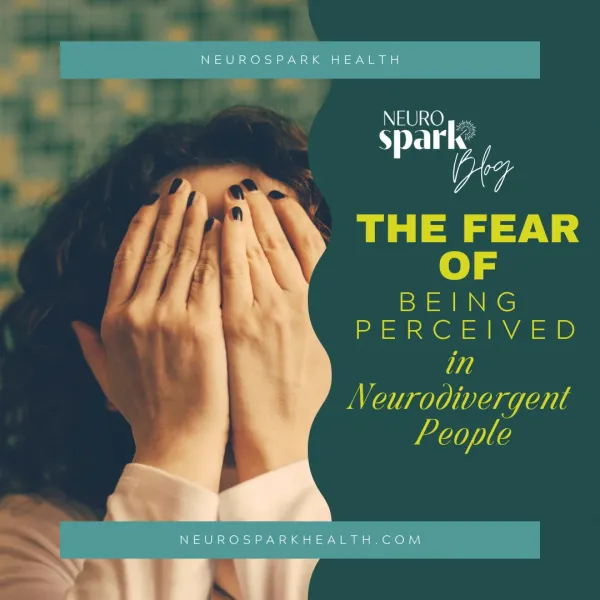 Thumbnail image for blog post: The Fear Of Being Perceived