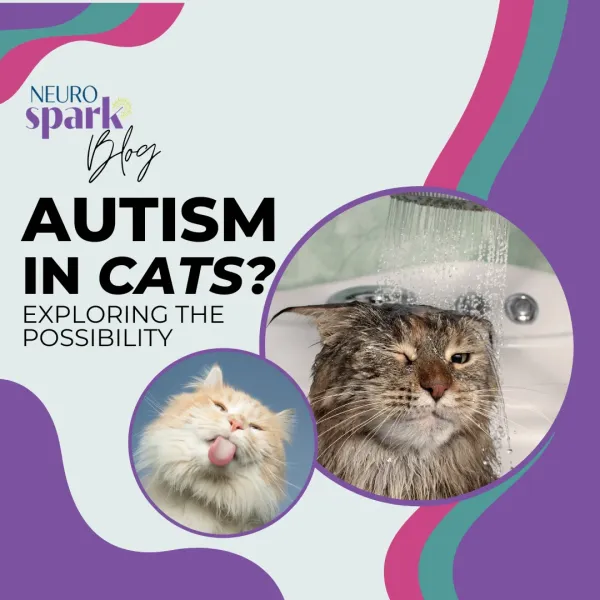 2 "autistic cats" representing the blog Can Cats Have Autism?